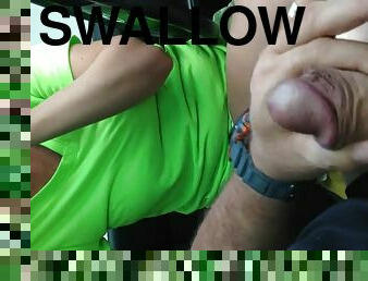 Bj car and swallow 5