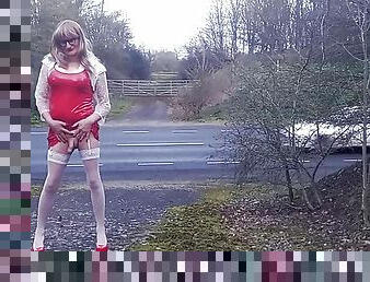 Tranny Gina Playing by The Roadside