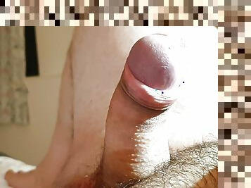 Morning wood 2