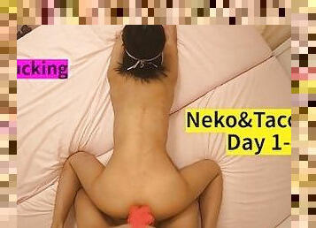 Neko&Taco Day1-4 Doggy, cowgirl and blowjob OSAKAPORN