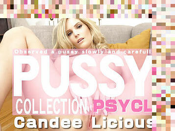 Pussy Collection Observed A Pussy Slowly And Carefully - Candee Licious - Kin8tengoku