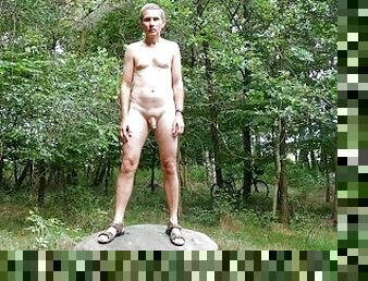 nudist, im-freien, öffentliche, dilettant, kamera, allein, wald, exhibitionist, wirklichkeit, blinkt